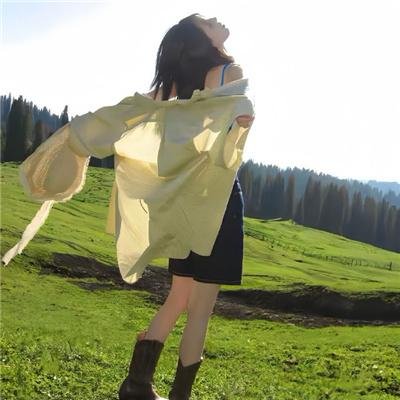 神龟力量:忍者神龟简明史